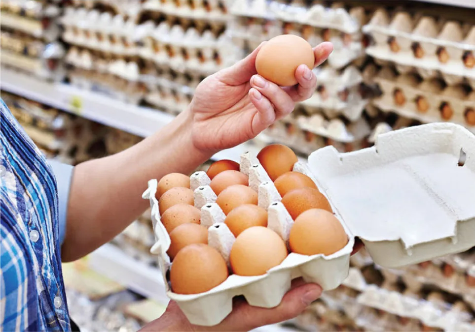 Frozen Chicken & Eggs